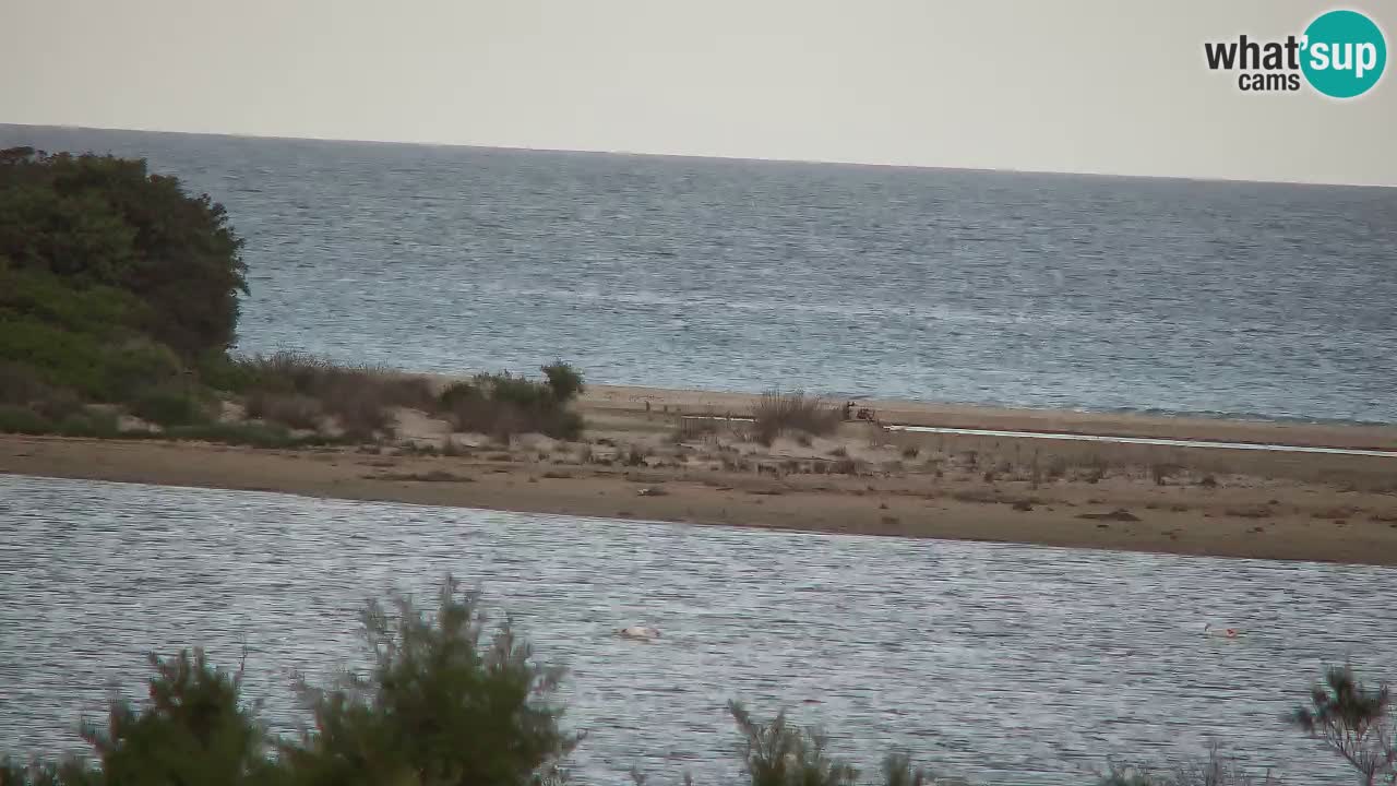 Webcam Chia – Vue en direct de la plage Su Giudeu