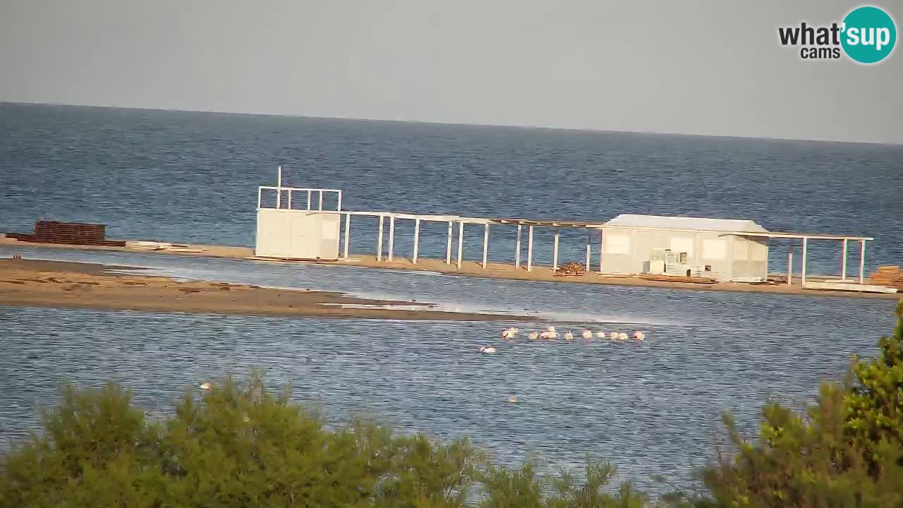 Webcam Chia – Live View of Su Giudeu Beach