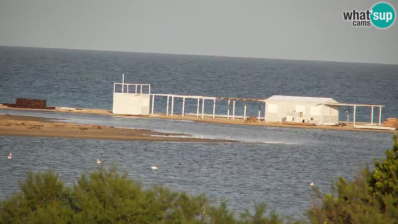 Webcam Chia – Live View of Su Giudeu Beach