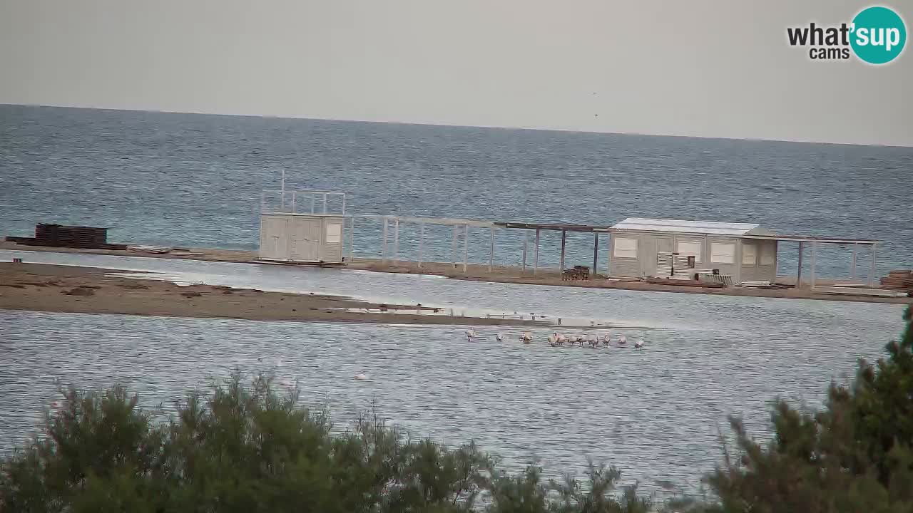 Webcam Chia – Vue en direct de la plage Su Giudeu