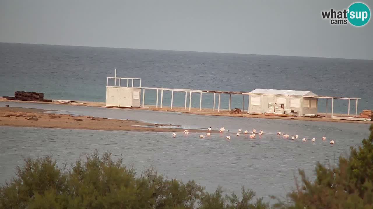 Webcam Chia – Vista en directo de la playa Su Giudeu