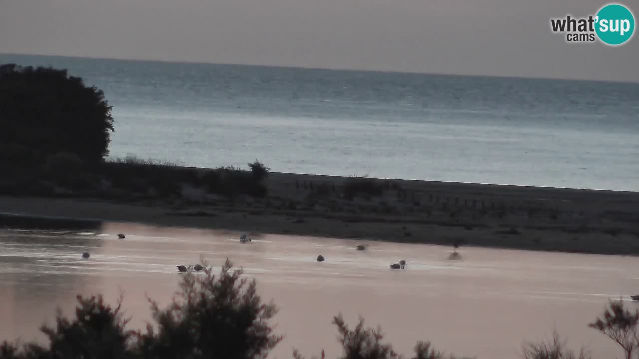 Webcam Chia – Liveblick auf den Strand Su Giudeu