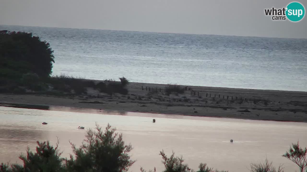 Webcam Chia – Live View of Su Giudeu Beach