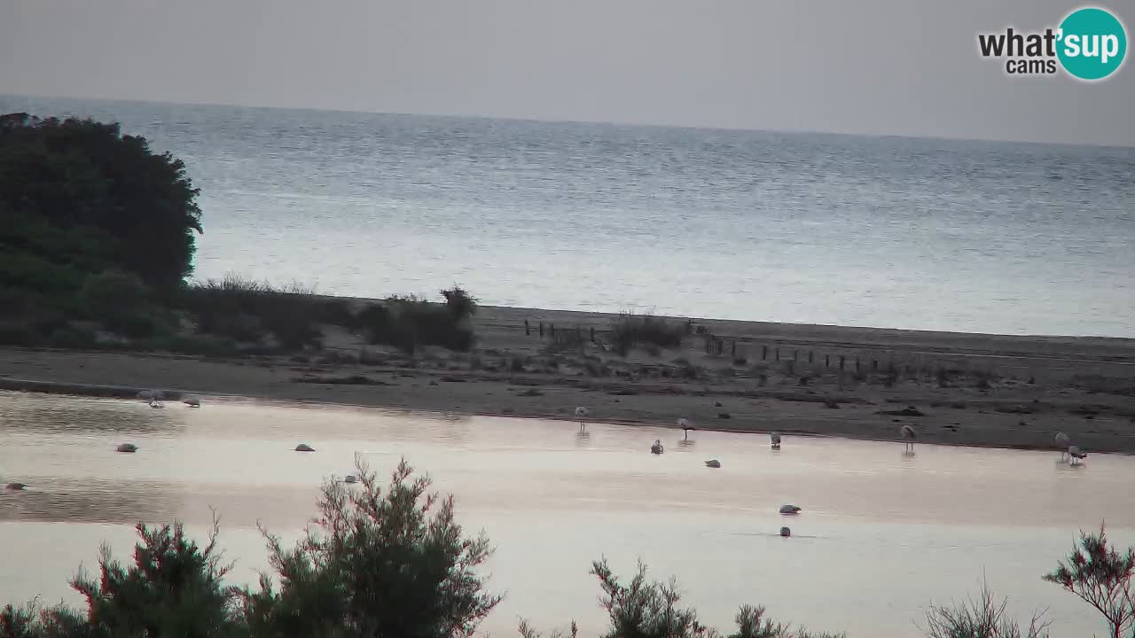 Webcam Chia – Vista en directo de la playa Su Giudeu