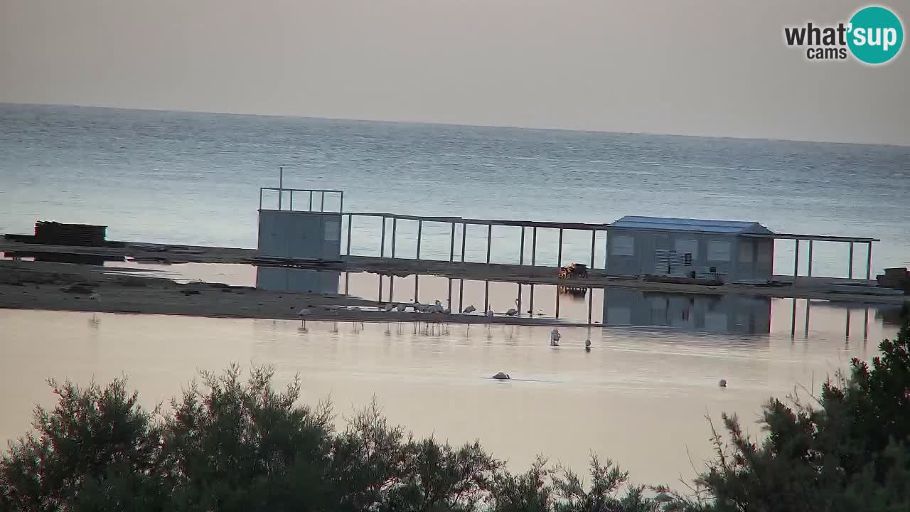 Webcam Chia – Spiaggia Su Giudeu in diretta