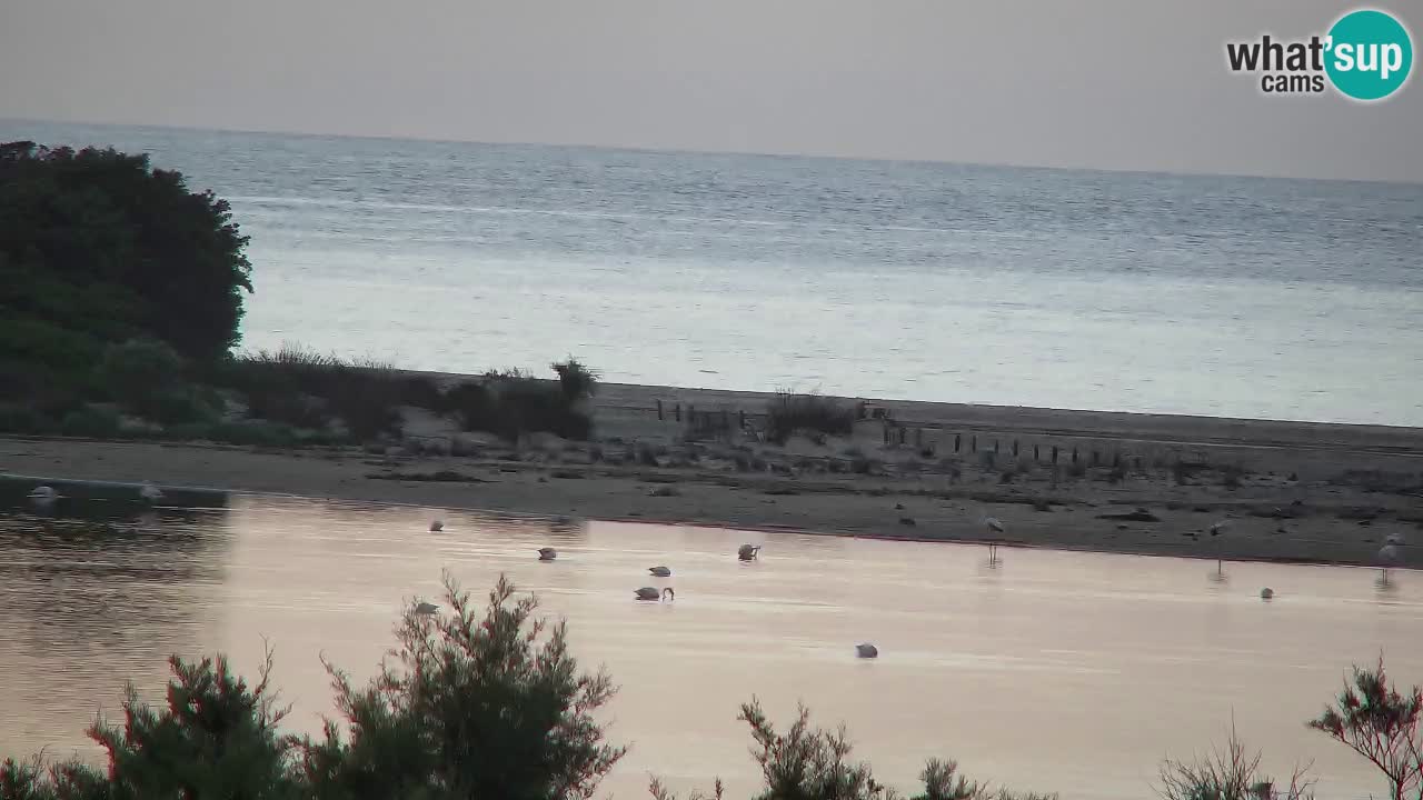 Spletna kamera Chia – Pogled v živo na plažo Su Giudeu
