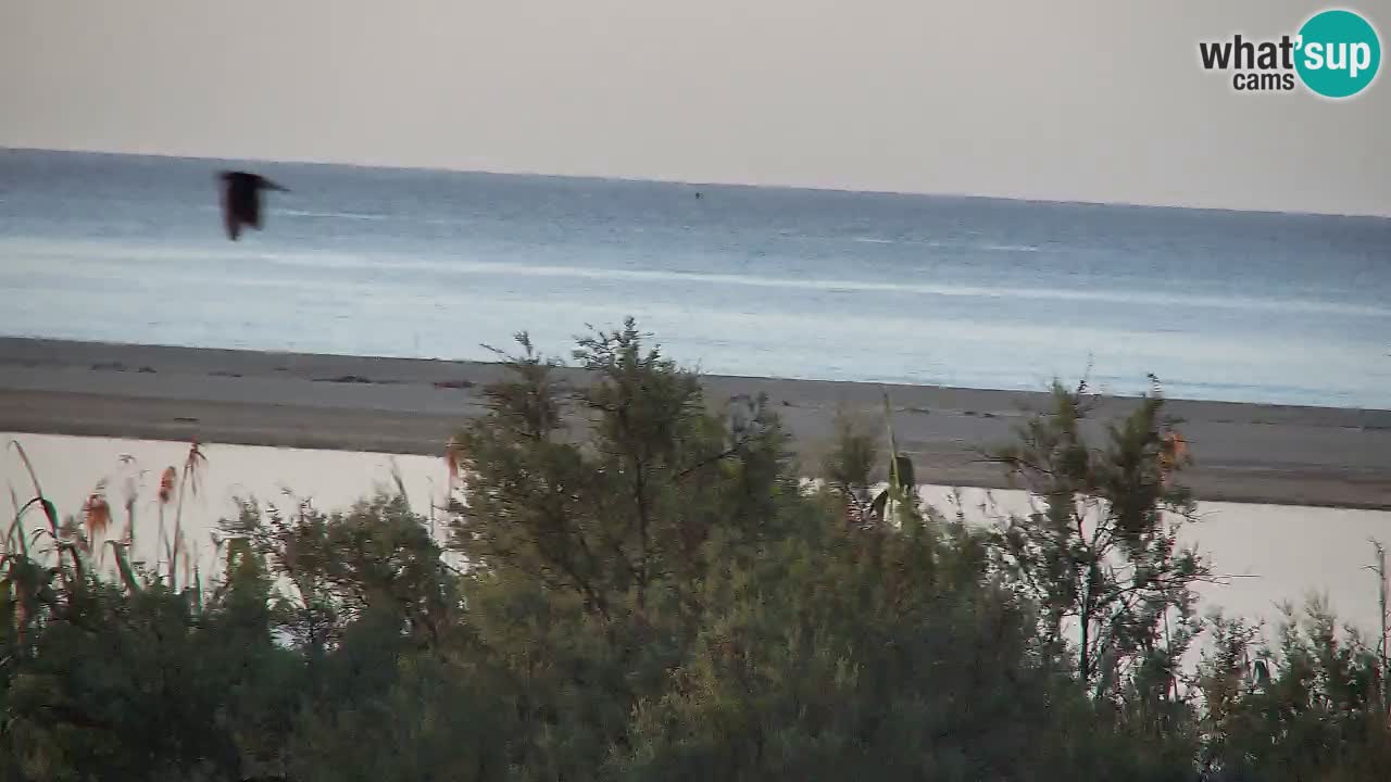 Webcam Chia – Liveblick auf den Strand Su Giudeu