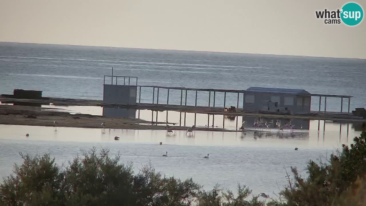 Webcam Chia – Vue en direct de la plage Su Giudeu