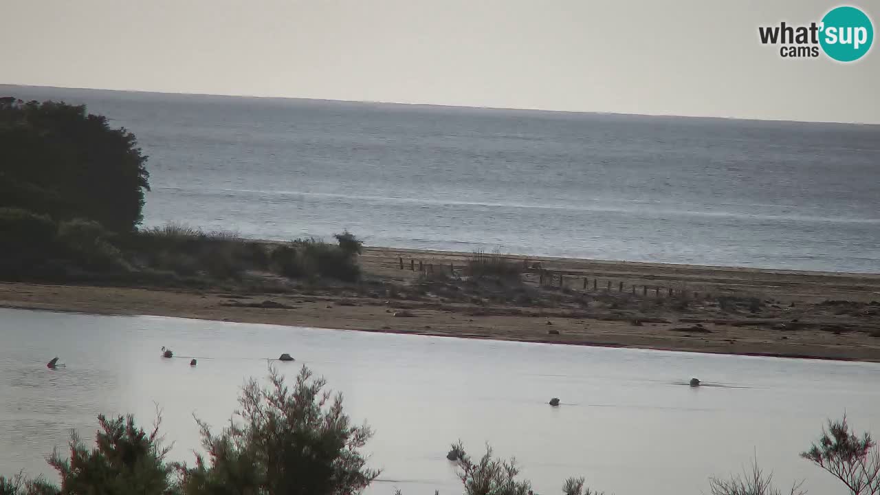 Webcam Chia – Liveblick auf den Strand Su Giudeu
