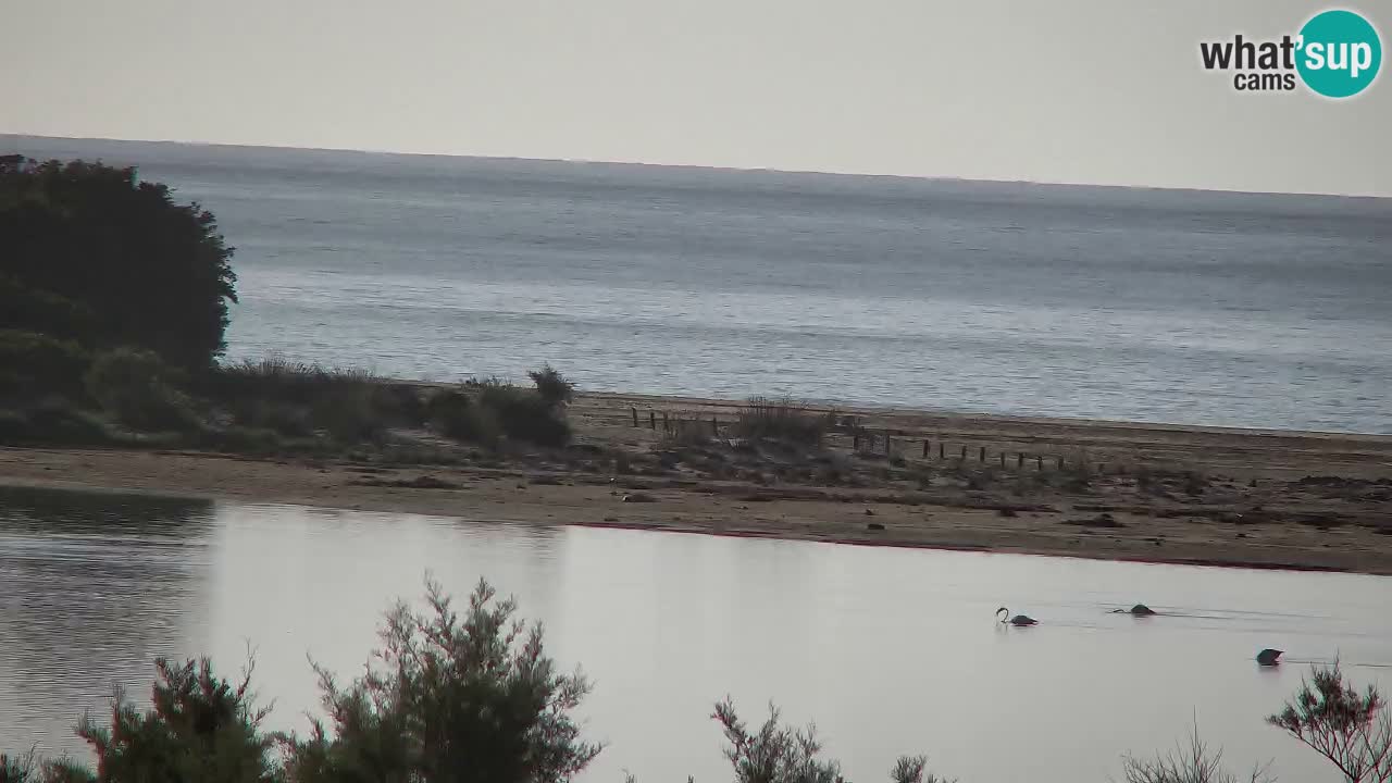 Webcam Chia – Spiaggia Su Giudeu in diretta