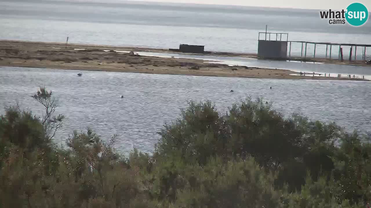 Webcam Chia – Liveblick auf den Strand Su Giudeu