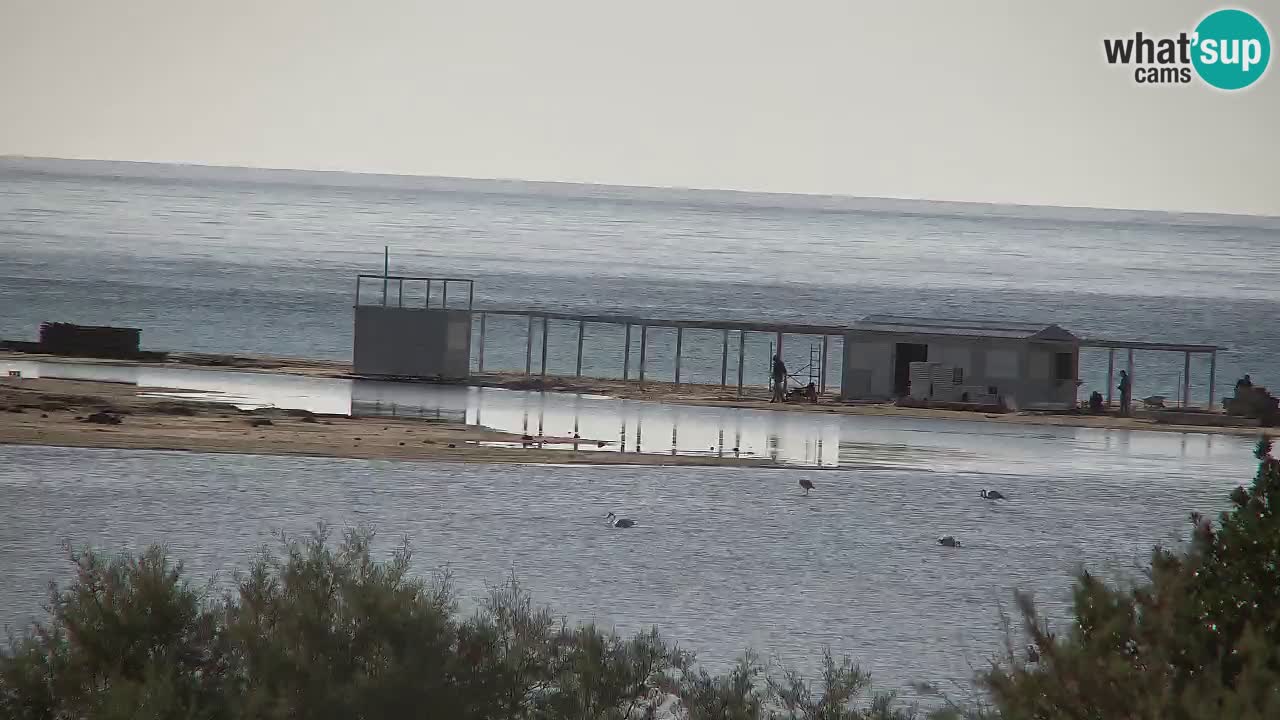 Webcam Chia – Live View of Su Giudeu Beach