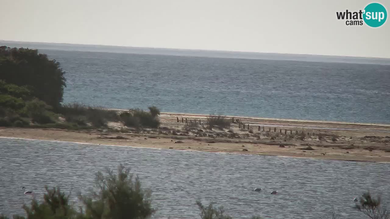 Webcam Chia – Vue en direct de la plage Su Giudeu