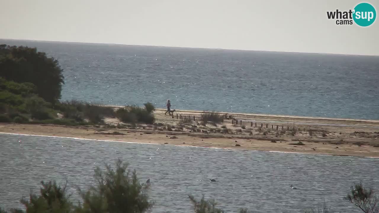 Webcam Chia – Spiaggia Su Giudeu in diretta