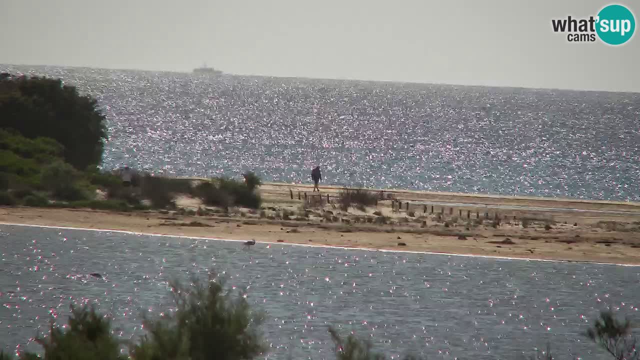 Web kamera Chia – Pogled uživo na plažu Su Giudeu