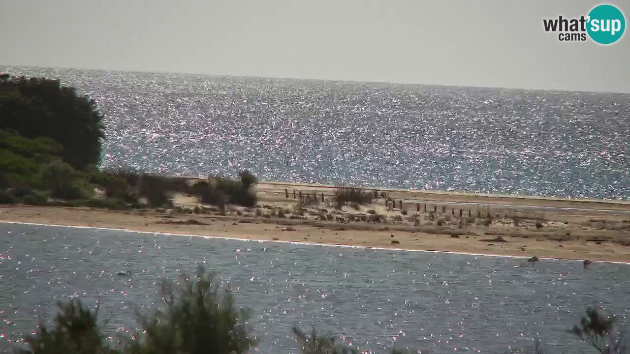 Webcam Chia – Liveblick auf den Strand Su Giudeu