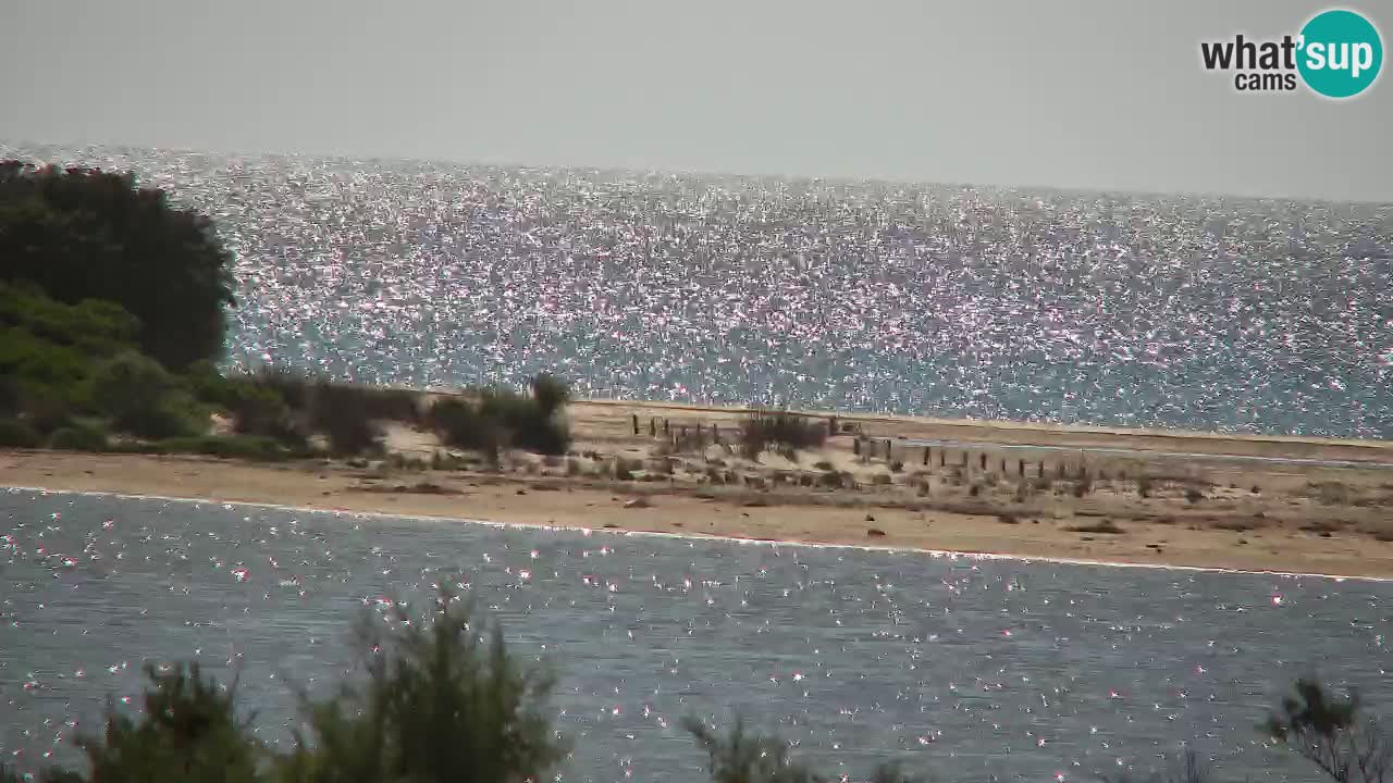 Webcam Chia – Liveblick auf den Strand Su Giudeu