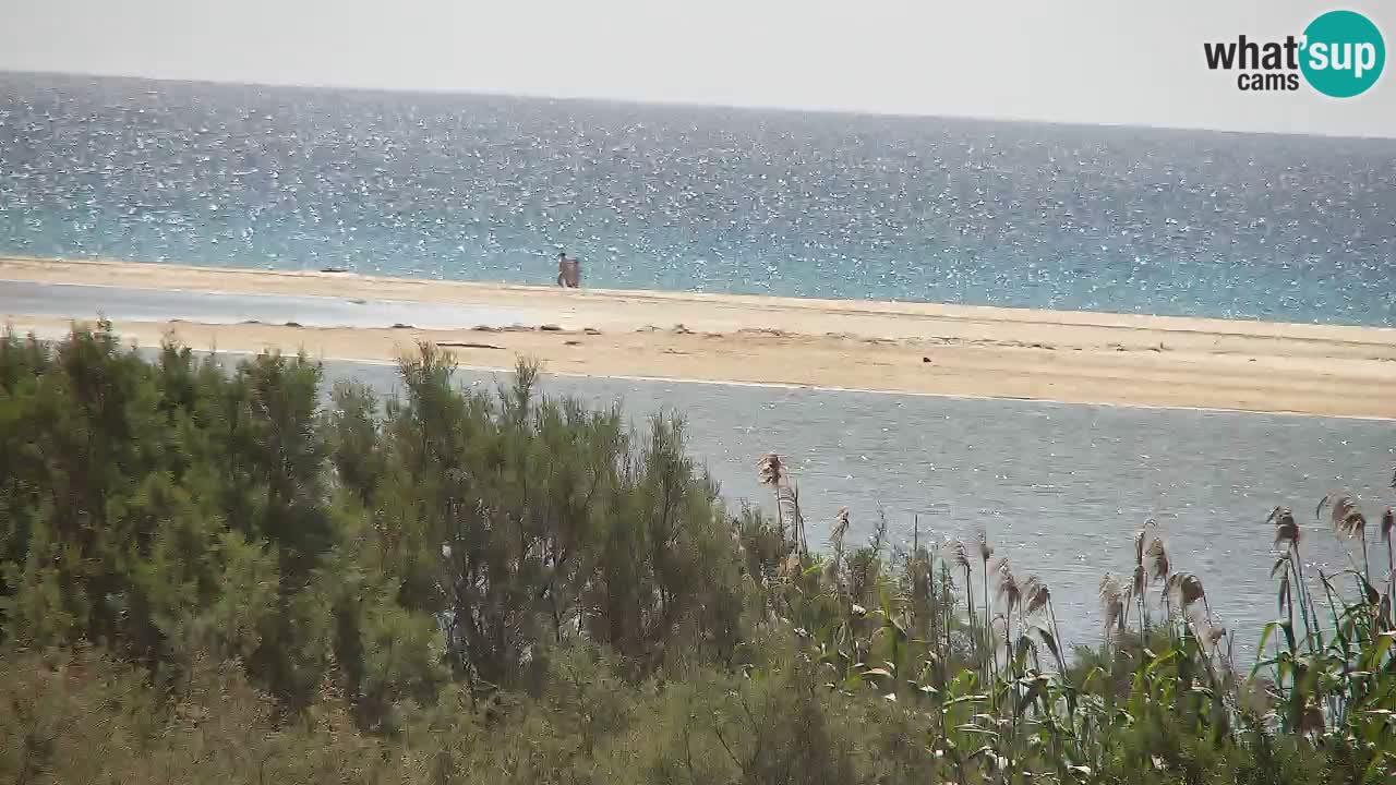 Spletna kamera Chia – Pogled v živo na plažo Su Giudeu