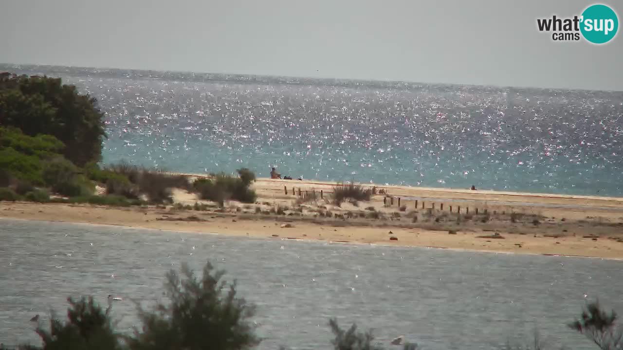 Webcam Chia – Liveblick auf den Strand Su Giudeu