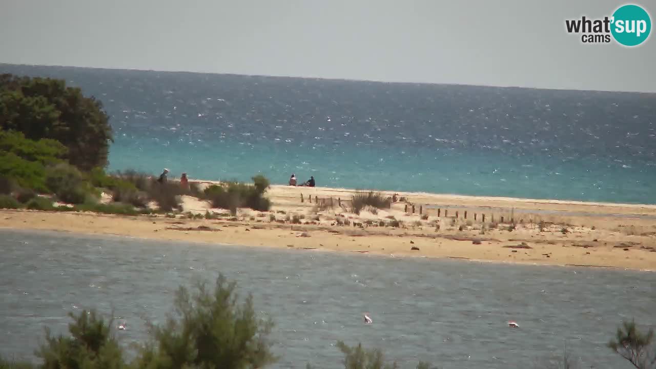 Webcam Chia – Vue en direct de la plage Su Giudeu