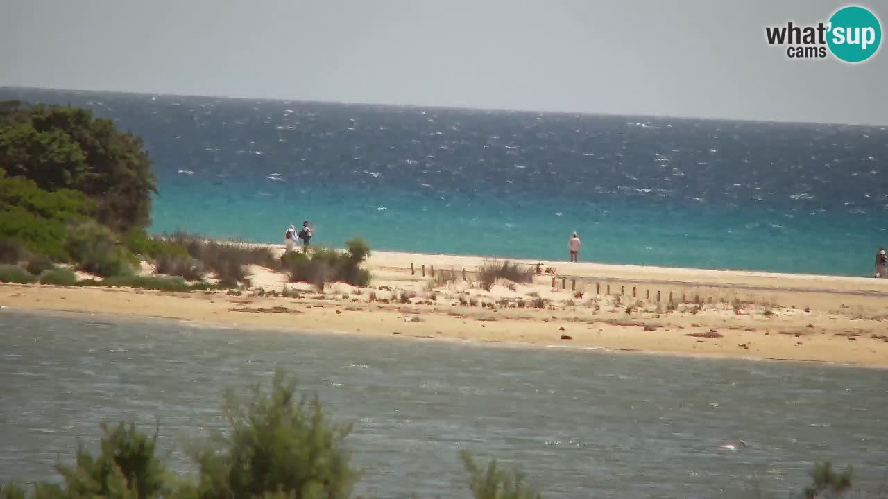 Webcam Chia – Live View of Su Giudeu Beach