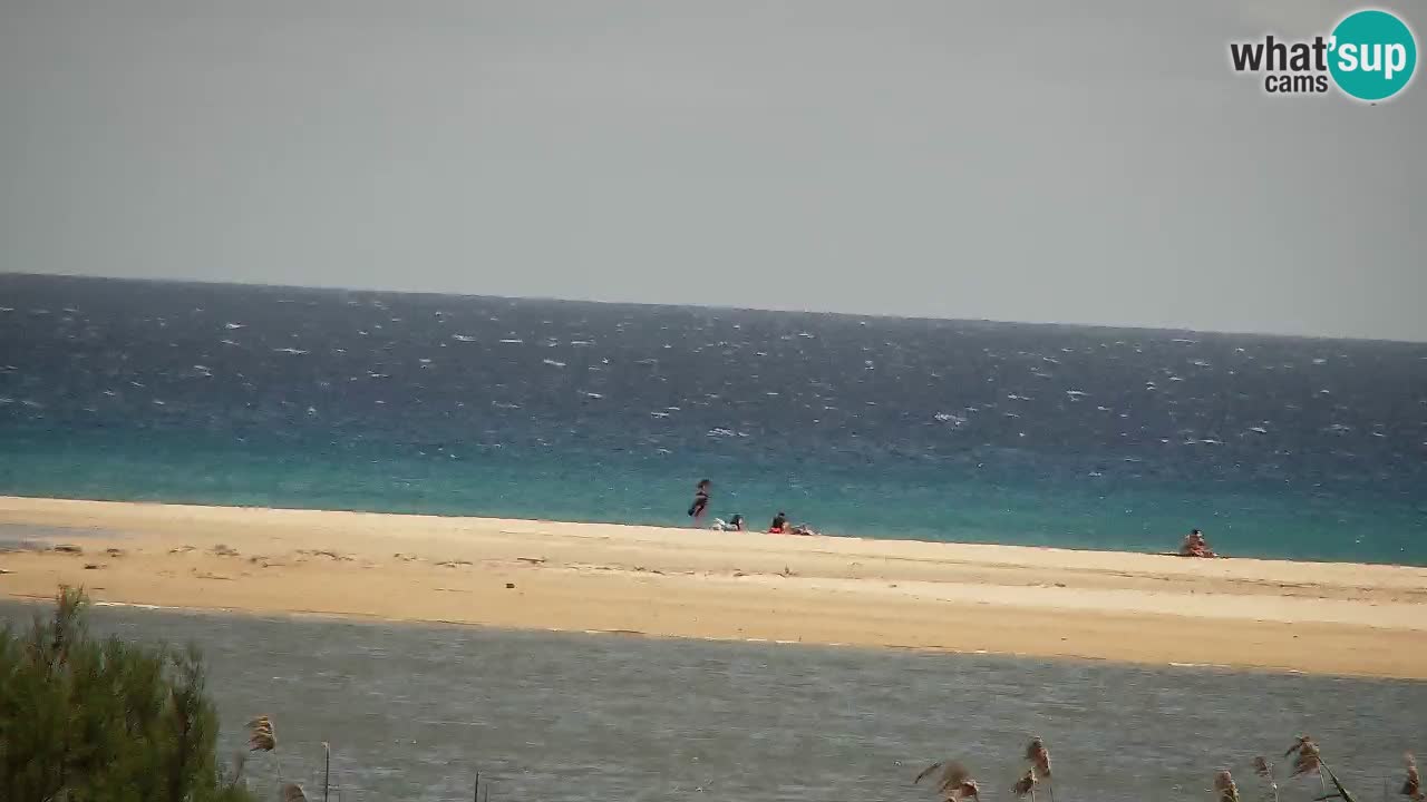 Webcam Chia – Vue en direct de la plage Su Giudeu