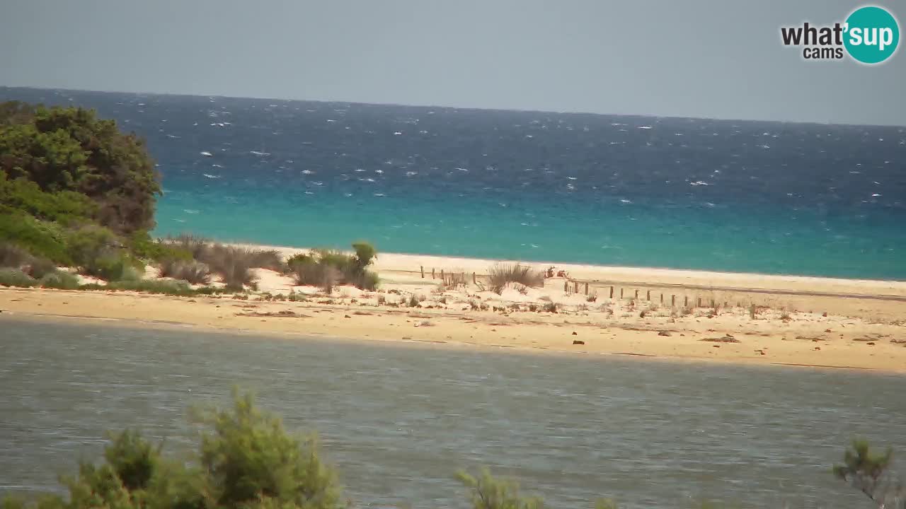 Webcam Chia – Live View of Su Giudeu Beach