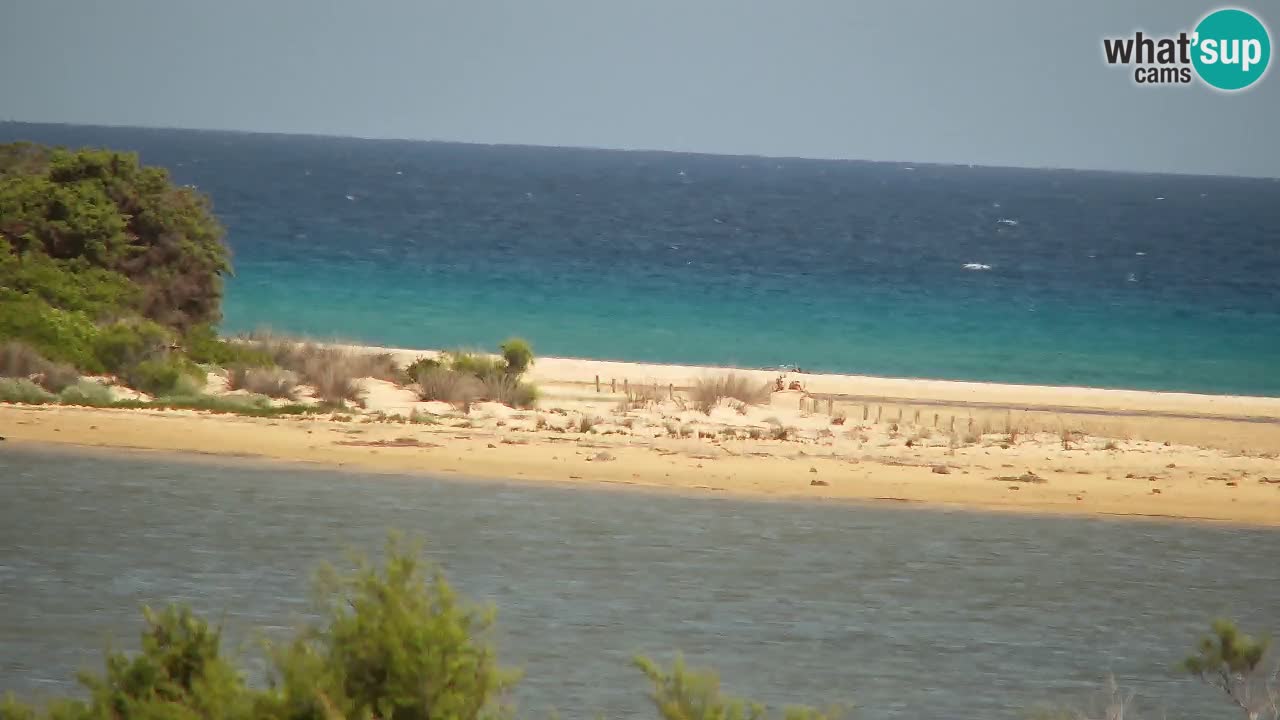 Webcam Chia – Live View of Su Giudeu Beach