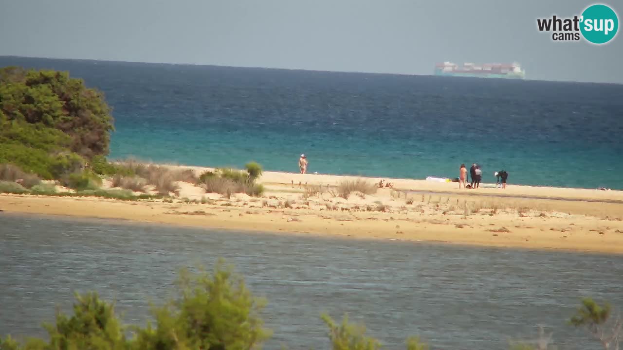Webcam Chia – Live View of Su Giudeu Beach