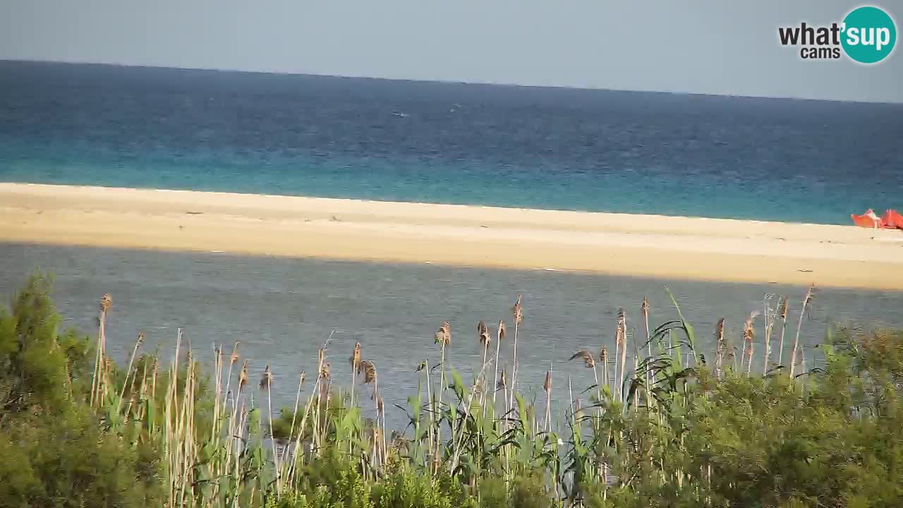 Webcam Chia – Live View of Su Giudeu Beach
