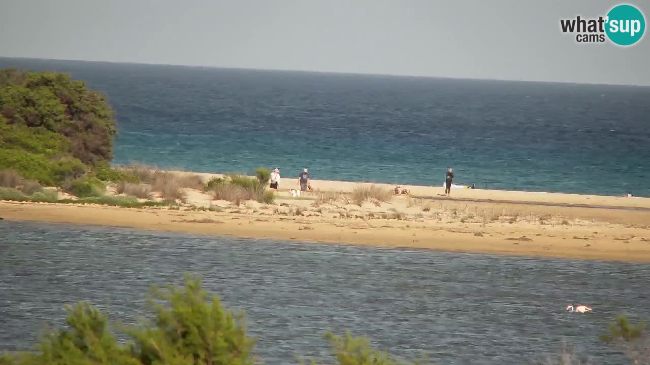 Webcam Chia – Liveblick auf den Strand Su Giudeu