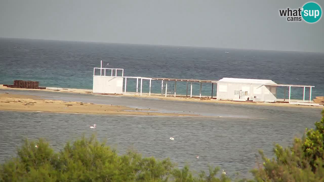 Webcam Chia – Live View of Su Giudeu Beach