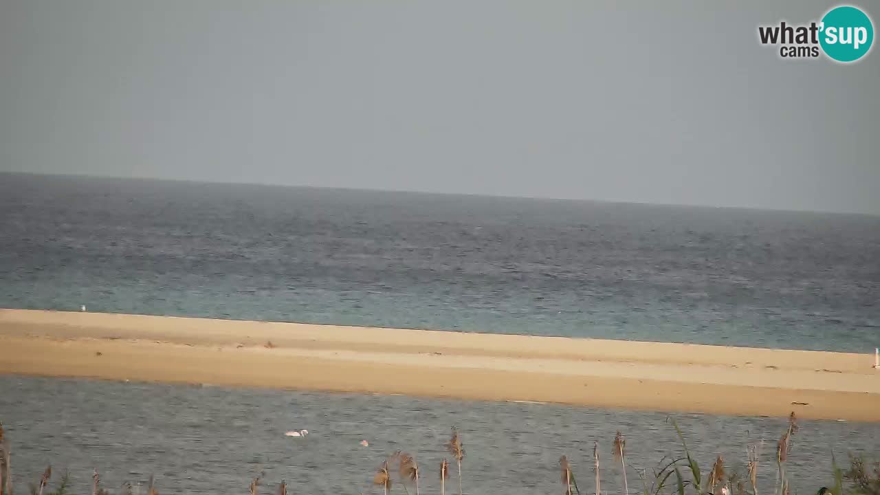 Webcam Chia – Vue en direct de la plage Su Giudeu