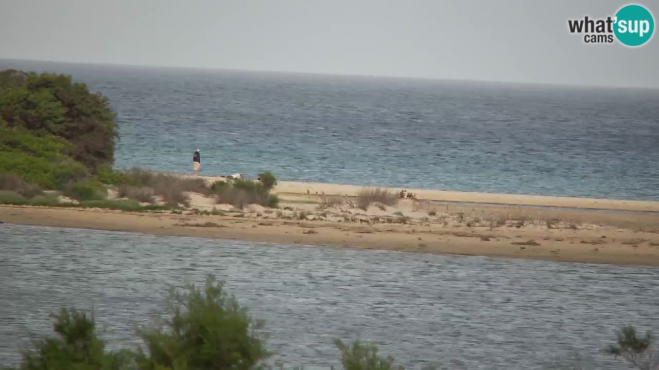 Webcam Chia – Live View of Su Giudeu Beach