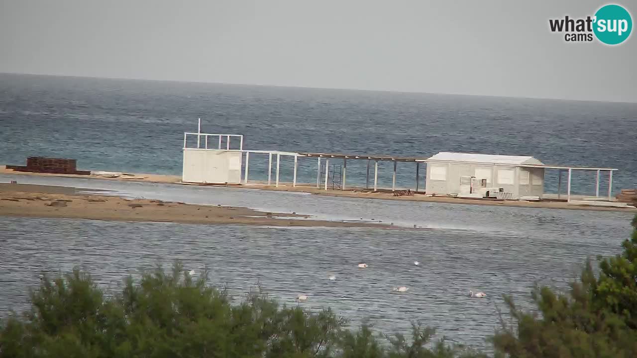 Webcam Chia – Live View of Su Giudeu Beach
