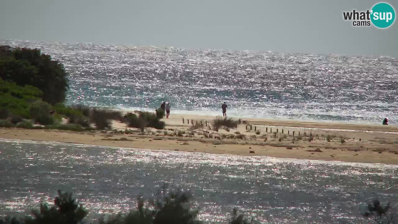 Webcam Chia – Live View of Su Giudeu Beach