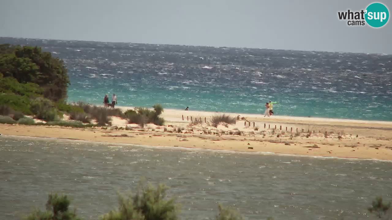 Webcam Chia – Live View of Su Giudeu Beach