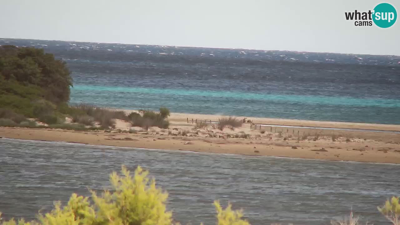 Web kamera Chia – Pogled uživo na plažu Su Giudeu