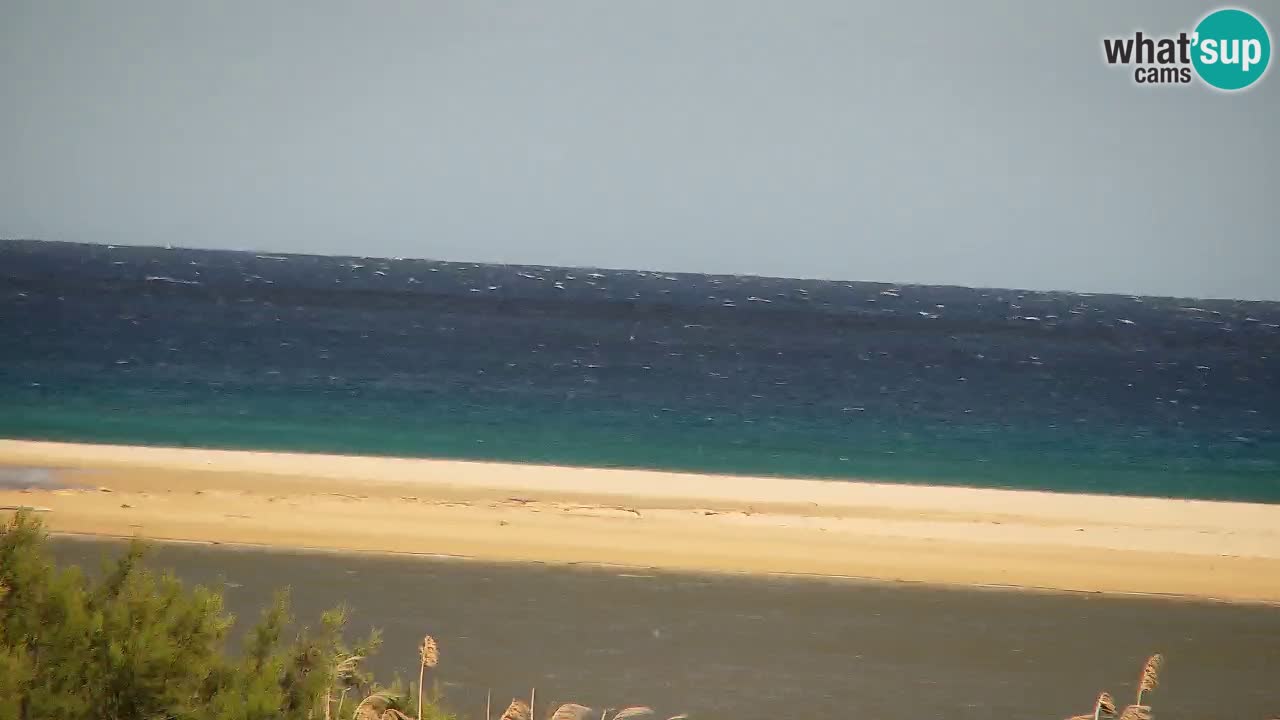 Webcam Chia – Vue en direct de la plage Su Giudeu