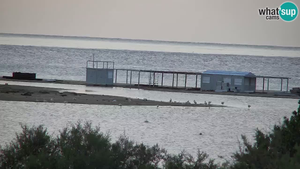 Webcam Chia – Live View of Su Giudeu Beach