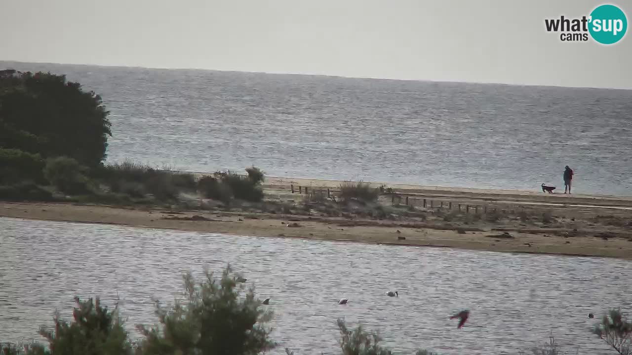 Webcam Chia – Live View of Su Giudeu Beach