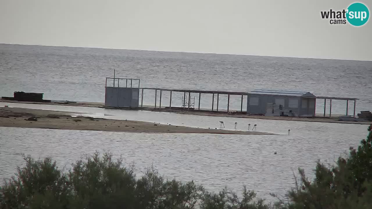 Webcam Chia – Live View of Su Giudeu Beach
