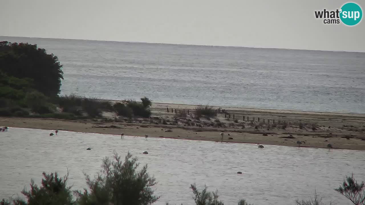 Web kamera Chia – Pogled uživo na plažu Su Giudeu