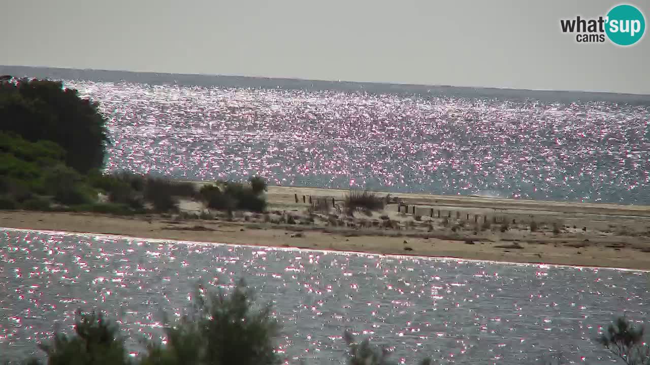 Webcam Chia – Live View of Su Giudeu Beach