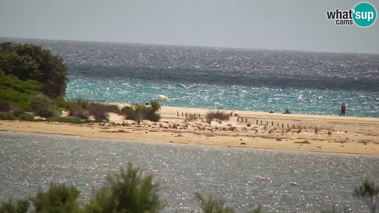 Webcam Chia – Live View of Su Giudeu Beach
