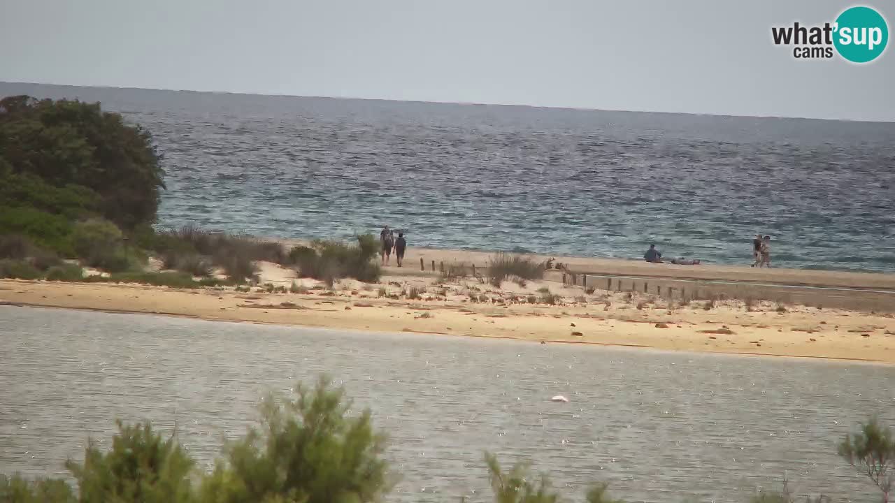 Webcam Chia – Vue en direct de la plage Su Giudeu