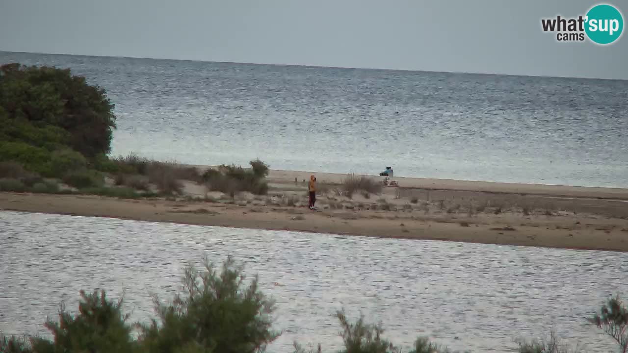 Webcam Chia – Live View of Su Giudeu Beach