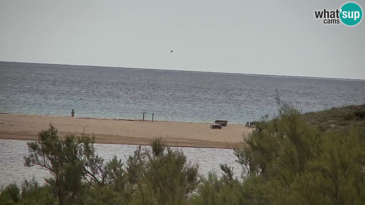 Webcam Chia – Live View of Su Giudeu Beach