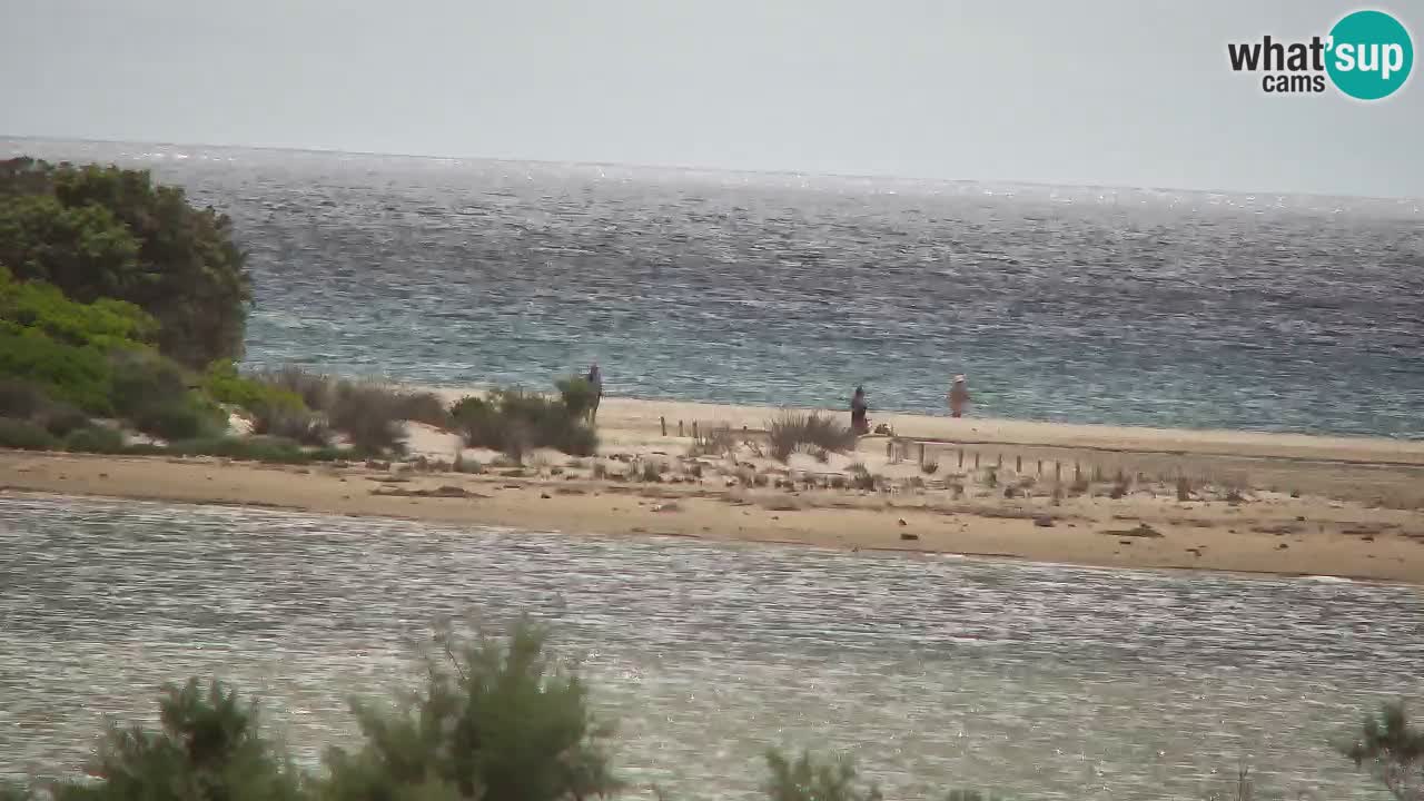 Webcam Chia – Live View of Su Giudeu Beach