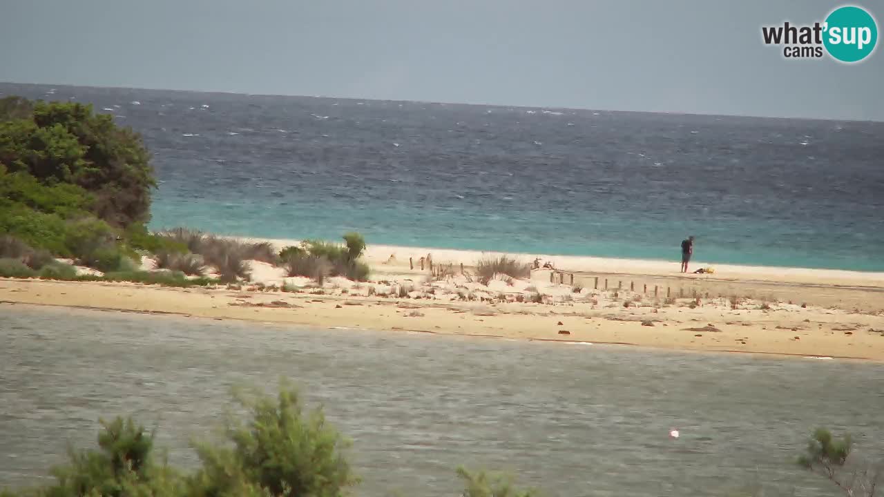 Webcam Chia – Live View of Su Giudeu Beach